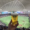 久々の東京シリーズです〜③野球殿堂博物館・東京ドーム編