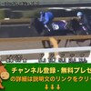 アメリカジョッキークラブカップ（GII） 【競馬調教】 シングウィズジョイ調教動画　「競馬レース結果ハイライト」2017年≪競馬場の達人,競馬予想≫