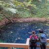 世界遺産『白神山地』に行ってきたよ〜