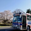 偕楽園の桜と、最後の梅