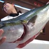 魚に夢中