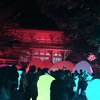 糺の森 光の祭典に行ってきました