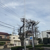 東京１９６４オリンピック　国旗掲揚ポール　ｉｎ　東京都東大和市