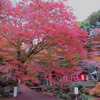 おんせん県おおいた 温泉一人旅♨ ① 国東半島「両子寺」の紅葉✧（再訪）