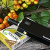 シンプルに生きろ！ EasyVAPE TARLESS【プルームテック互換】