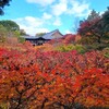 【京都】【御朱印】『東福寺』に行ってきました。 京都紅葉 そうだ京都行こう 女子旅 