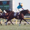 今週から！！競馬は、中山・阪神の中央開催へ