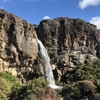 ここは地球なの？？トンガリロを少し離れて見てみよう！ Taranaki Falls TrackからTama Lakeへ②