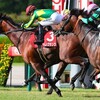 9.24(日)　競馬　神戸新聞杯とか