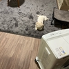 コンビニが寒い💦
