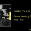 【歌詞・和訳】Charli XCX & Billie Eilish / Guess featuring Billie Eilish / チャーリーXCX / ゲス・フューチャリング・ビリー・アイリッシュ