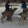 東大寺「お水取り」