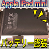 【iPad mini 修理 徳島】バッテリー膨張による交換修理依頼