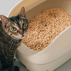 猫のニオイが消える！ニオイをとる猫砂の選び方とおすすめ商品