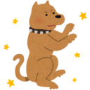 いぬ日記