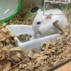 つぶあん264日目