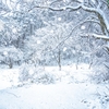 天気予報通りの降雪です💦