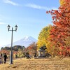 第25回富士河口湖紅葉まつりに行ってきました｜アクセス、見どころ、屋台、本栖湖、精進湖、紅葉台、富士五湖、周遊バス（山梨県富士河口湖町）