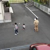 ご近所さん(o^^o)