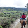 フランス・スペイン珠玉の田舎町へ ⑤ ～ロンダで馬に乗る～