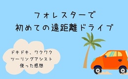 記事を見る