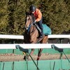 【一口馬主／ソワドリヨン】3月、中山で会いましょう♪