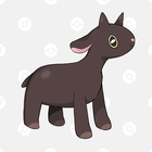 色違い ナマコブシ ナマコブシ 投げのあとはしっかりスキンケア ポケモン 色違い研究所