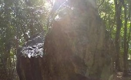 記事を見る