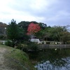 公園の風景。