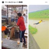 最近やたらと「インドあたりの屋台」のショート動画が出てくる