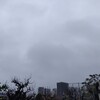 曇り☁　　散歩方々(^・^)