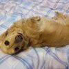 またど真ん中
