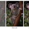 Noise2Noise: Learning Image Restoration without Clean Data