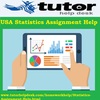 Resolve Your Queries with USA Statistics Assignment Help