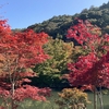 京都日帰り出張、ついでに紅葉狩り / 南禅寺～永観堂・六道珍皇寺（2020年11月）