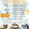 17日譲渡会のお知らせ🐾