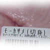 サメ　と聞くと・・・血が騒ぐ!？
