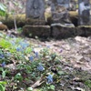 代替医療は非科学的なのか問題！現役医師が斬ります
