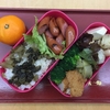 連日サトイモ弁当