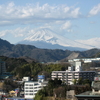 伊豆長岡温泉　回想録