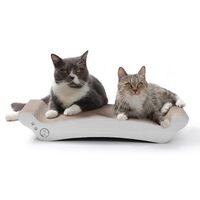 【猫好き必見】猫壱 爪研ぎ バリバリベッド Lサイズレビュー！愛猫が夢中になる快適爪とぎ＆くつろぎスペース