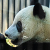 上野動物園