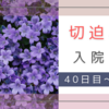 切迫早産で入院。33週0日 入院40日目～33週3日 入院43日目