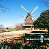 千葉県の珍景　風車＠アンデルセン公園