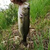 バス釣り2019(7)【寒の戻り？】