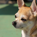 宇都宮　不登校の子が安心できる居場所☆フリーランド