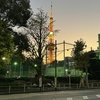 夕陽に染まる東京タワー