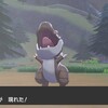 ポケモンについて語るその65　チゴラス