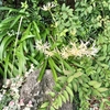 みんな、力強く生きてきた