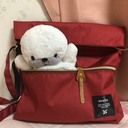なっちゃんの部屋